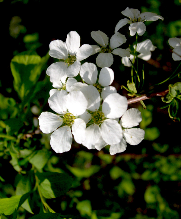 58a52ab983d4a1c1e9c32b4c7c8560ca.JPG